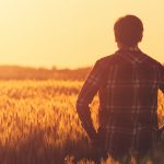 The Silent Crisis for America’s Farmers