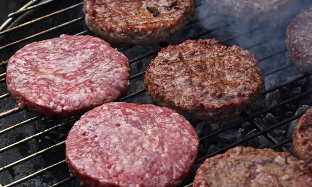 Honest Labeling of Fake Meat May Soon be Required in Missouri