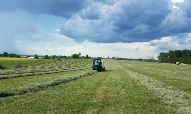 Missouri Farmland Prices Steady Despite Tough Economy