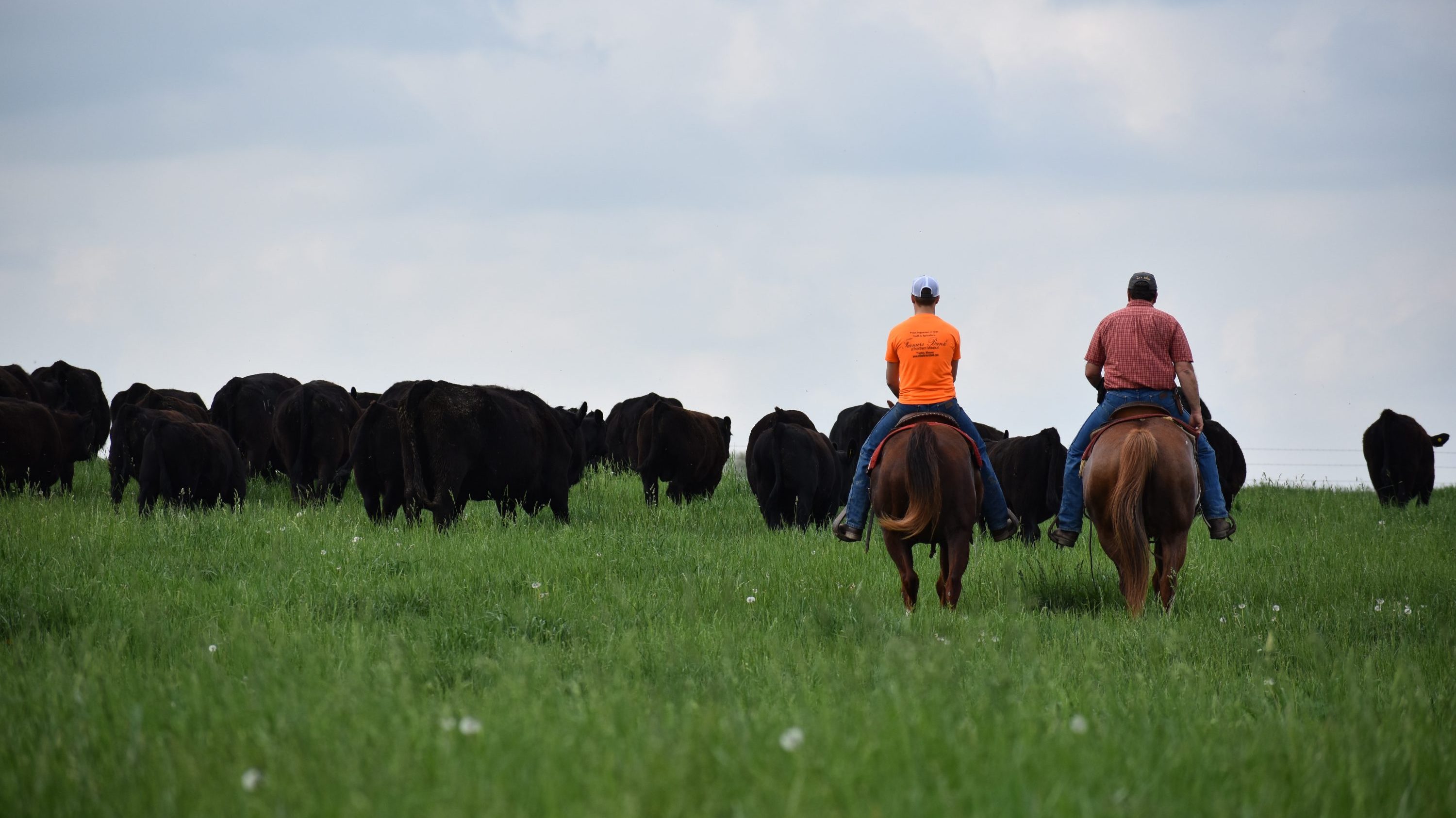 Missouri’s Small Family Farms Show Dramatic Growth in Census of Agriculture