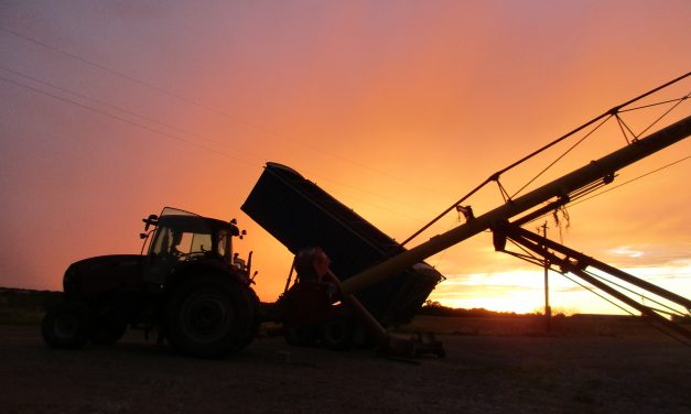 Another Weak Year Predicted for Farm Economy