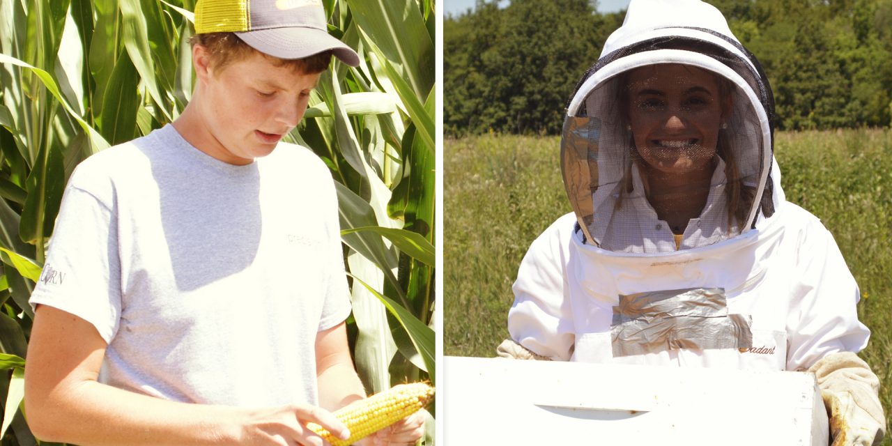 Bees and Crops Open Doors for These Ambassadors