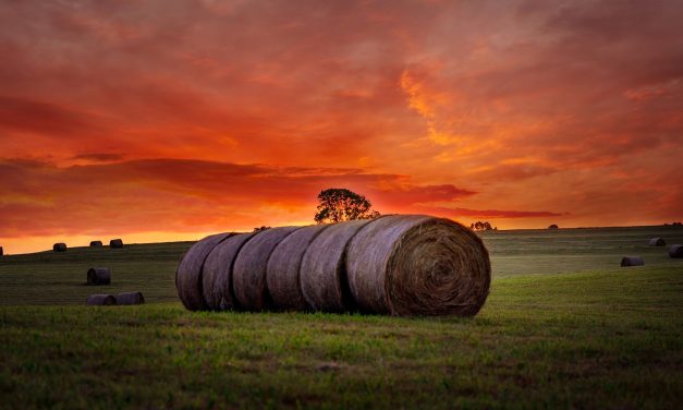 Missouri Farm Bureau Survey Finds Farmers Hesitant Entering 2020