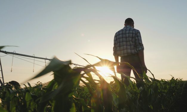 Farming Safely During the Pandemic