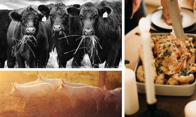 Buy Meat Direct from Your Local Farmer